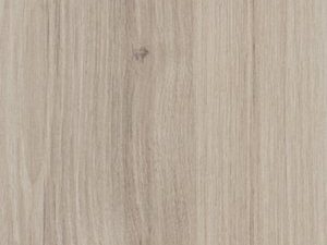 1012GP Narrow Leaved Elm