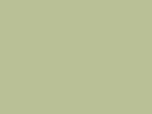 *1082GP Sage Green