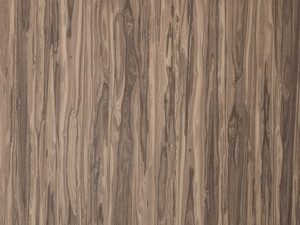 *1093GP Saltillo Ziricote