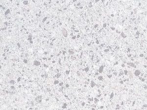 1187GP Cloud Terrazo