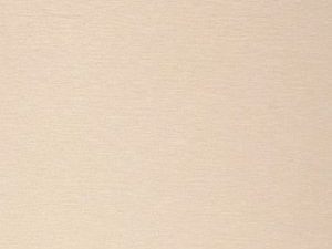 23 Light Bronze Brushed