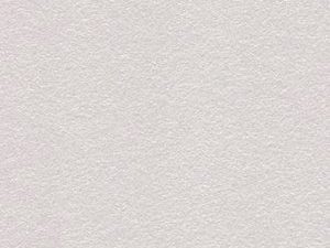 731PF Silver Pearlescent