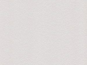 732PF Silver Pearlescent Gloss