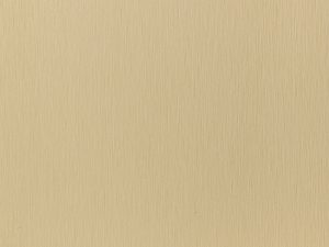 NEW - 867 Champagne Gold
