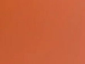 961GP Classic Orange Suede