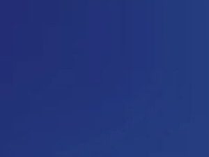 981GP Royal Blue Suede