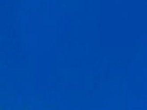 984GP Cortez Blue Suede