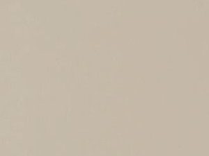 *Z104 Beige Grey AFP