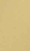 881 Mirror Brass