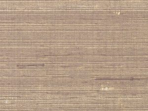 247S Raw Silk Copper