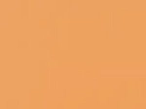 1051GP Tangerine