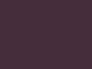 1061GP Aubergine