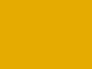 1118GP Sunflower
