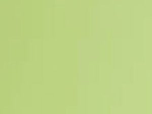 978GP Lime Green Suede