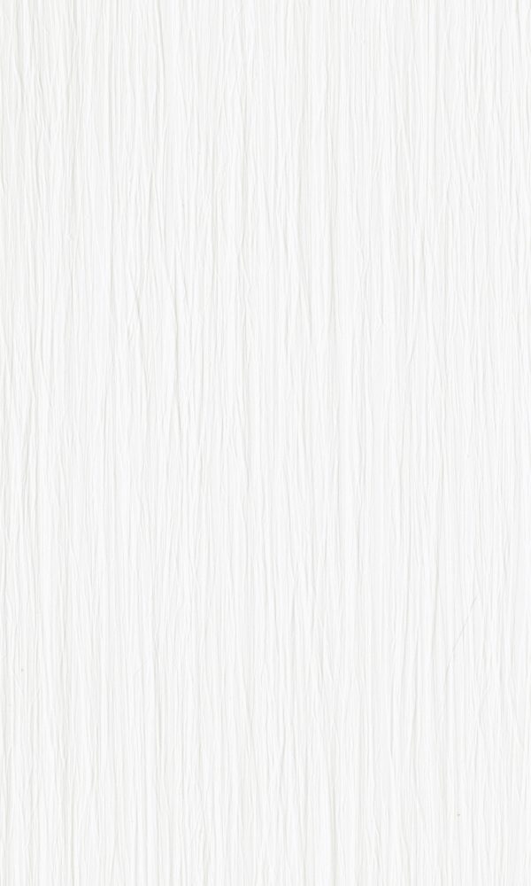 541 Corteza White