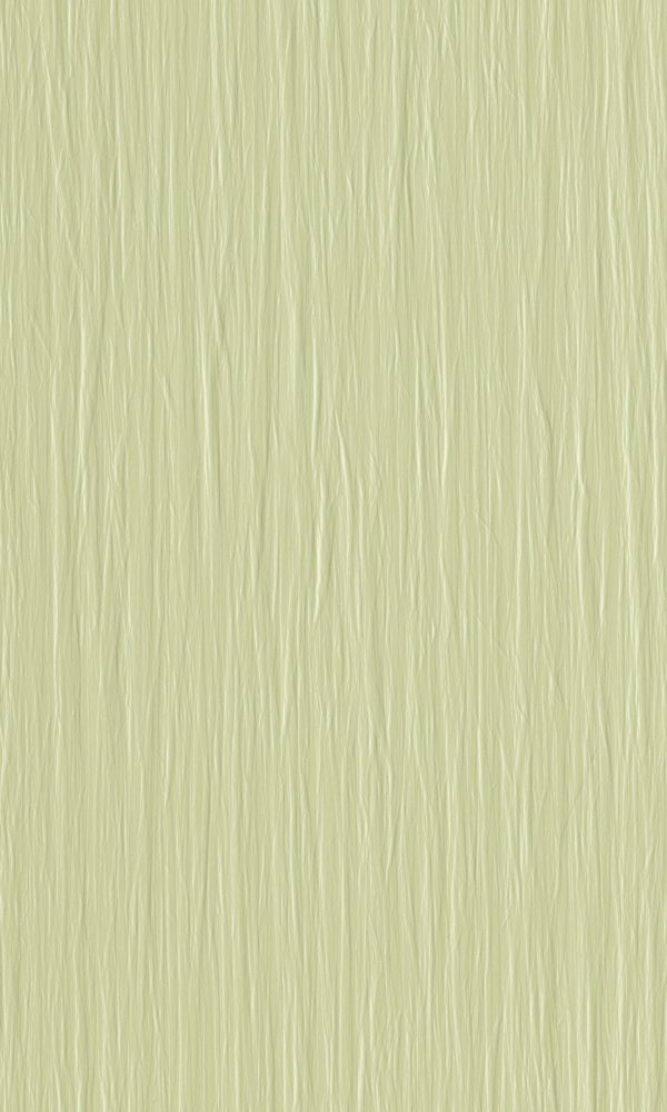 550 Corteza Olive