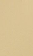 2BR Brushed Gold